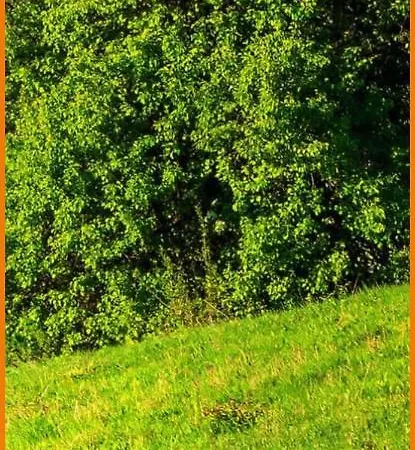 アパート Soavis Flat & Garden *