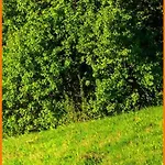 Apartment Soavis Flat & Garden *