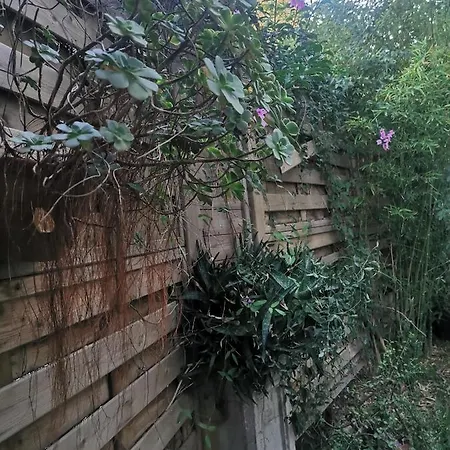 Soavis Flat & Garden