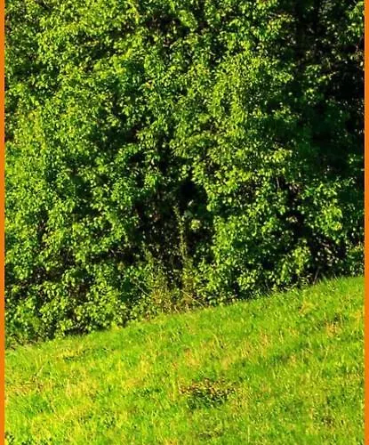 شقة Soavis Flat & Garden *